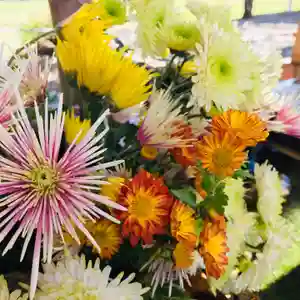 高司神社〜むすびの神の鎮まる社〜の手水舎(2021年10月30日(土) 22時50分24秒投稿)