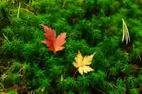 大瀧神社(長野県)