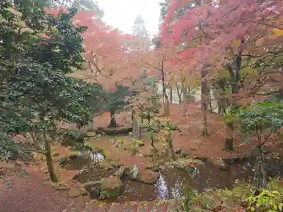 高源寺(兵庫県)