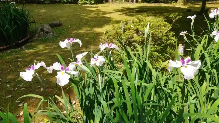 賀茂別雷神社(上賀茂神社)の庭園