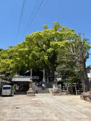 艮神社の{uncategorized: "未分類", other: "その他", undefined: "問題あり", building: "その他建物", grave: "お墓", sacred_gate: "鳥居", guardian: "狛犬", statue: "像", buddha: "仏像", history: "歴史", nature: "自然", garden: "庭園", animal: "動物", pagoda: "塔", temizu: "手水舎", mountain_gate: "山門・神門", sanctuary: "本殿・本堂", subordinate: "末社・摂社", art: "芸術", scenery: "景色", jizo: "地蔵", ema: "絵馬", goshuin: "御朱印", omikuji: "おみくじ", items: "授与品その他", amulet: "お守り", goshuincho: "御朱印帳", eats: "食事", festival: "お祭り", votive_dance: "神楽", shichigosan: "七五三参", wedding: "結婚式", experience: "体験その他", initially: "初詣", around: "周辺", anti_infection: "感染症対策"}