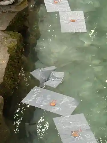 八重垣神社の{uncategorized: "未分類", other: "その他", undefined: "問題あり", building: "その他建物", grave: "お墓", sacred_gate: "鳥居", guardian: "狛犬", statue: "像", buddha: "仏像", history: "歴史", nature: "自然", garden: "庭園", animal: "動物", pagoda: "塔", temizu: "手水舎", mountain_gate: "山門・神門", sanctuary: "本殿・本堂", subordinate: "末社・摂社", art: "芸術", scenery: "景色", jizo: "地蔵", ema: "絵馬", goshuin: "御朱印", omikuji: "おみくじ", items: "授与品その他", amulet: "お守り", goshuincho: "御朱印帳", eats: "食事", festival: "お祭り", votive_dance: "神楽", shichigosan: "七五三参", wedding: "結婚式", experience: "体験その他", initially: "初詣", around: "周辺", anti_infection: "感染症対策"}