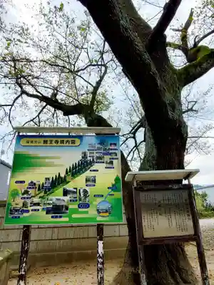 医王寺(福島県)