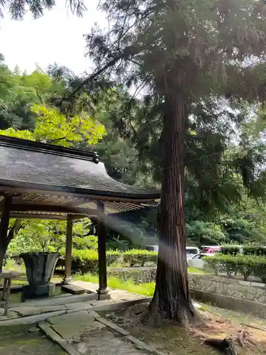 豊栄神社の手水舎