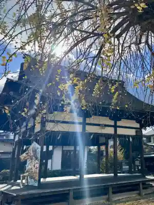 和田神社(滋賀県)