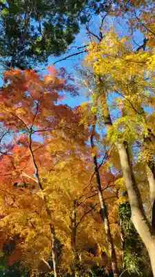 笠森寺(千葉県)