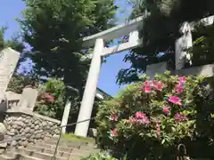 新宿下落合氷川神社の建物その他