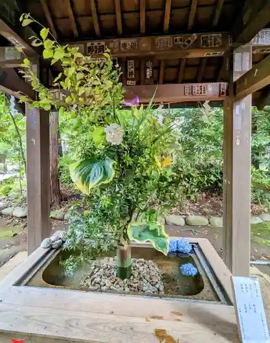 赤坂氷川神社(東京都)