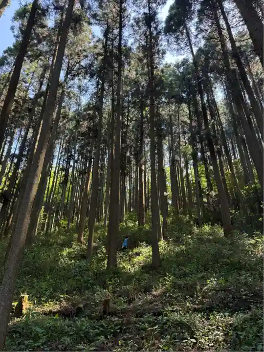 荒立神社(宮崎県)
