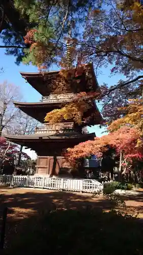 豪徳寺の塔