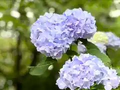 仁科神社(長野県)