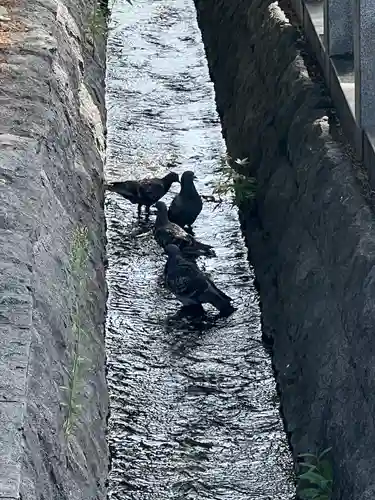 善光寺(長野県)