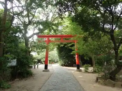 淡嶋神社の鳥居