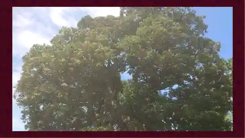 九重神社(埼玉県)