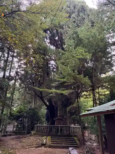浄蓮庵(徳島県)