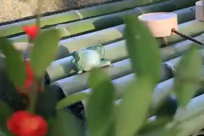 阿久津「田村神社」（郡山市阿久津町）旧社名：伊豆箱根三嶋三社の手水舎