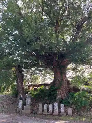 西福寺(千葉県)