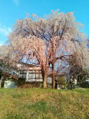 大安寺(宮城県)