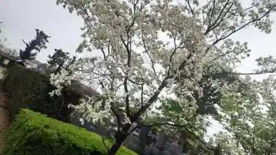 行福寺(愛知県)