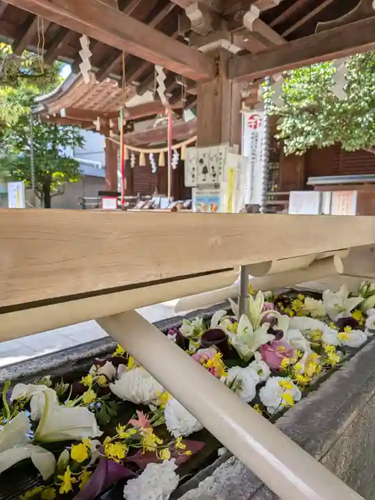 鳩森八幡神社の手水舎