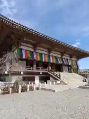 西新井大師総持寺(東京都)