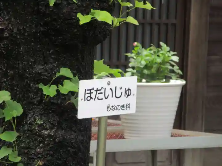 願成寺(神奈川県)