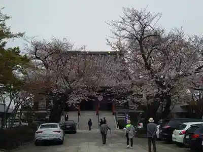 伝通院(東京都)