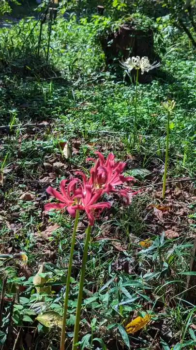 平野神社(京都府)