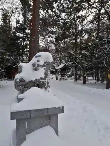 琴似神社の狛犬