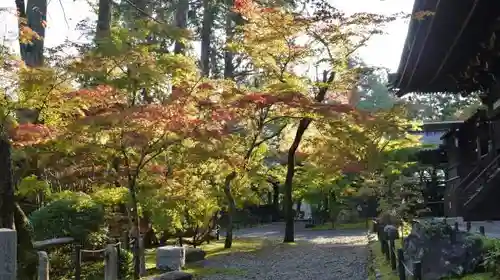 真正極楽寺（真如堂）の庭園