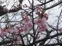 旗上弁財天社の自然