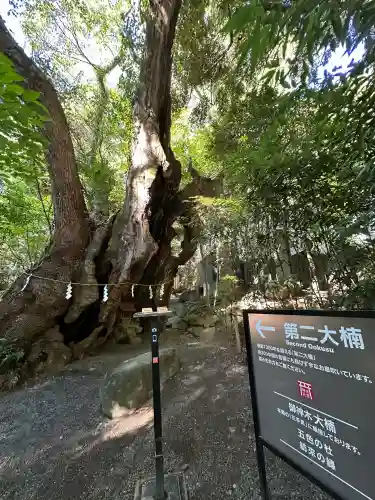 來宮神社の{uncategorized: "未分類", other: "その他", undefined: "問題あり", building: "その他建物", grave: "お墓", sacred_gate: "鳥居", guardian: "狛犬", statue: "像", buddha: "仏像", history: "歴史", nature: "自然", garden: "庭園", animal: "動物", pagoda: "塔", temizu: "手水舎", mountain_gate: "山門・神門", sanctuary: "本殿・本堂", subordinate: "末社・摂社", art: "芸術", scenery: "景色", jizo: "地蔵", ema: "絵馬", goshuin: "御朱印", omikuji: "おみくじ", items: "授与品その他", amulet: "お守り", goshuincho: "御朱印帳", eats: "食事", festival: "お祭り", votive_dance: "神楽", shichigosan: "七五三参", wedding: "結婚式", experience: "体験その他", initially: "初詣", around: "周辺", anti_infection: "感染症対策"}