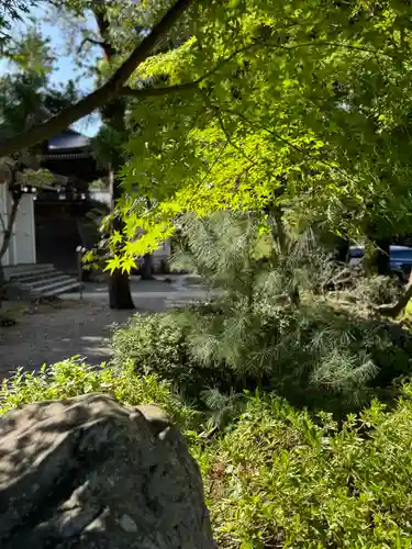 多賀大社(滋賀県)