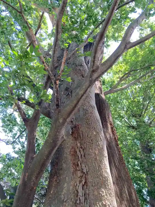徳川東照宮(群馬県)