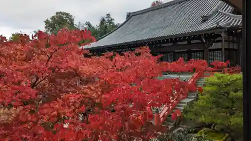 妙満寺(京都府)