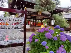 御霊神社の自然