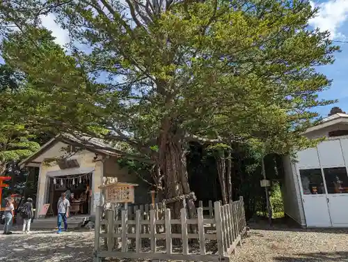 湯倉神社の自然