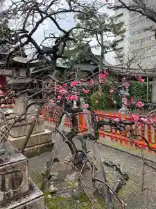 開口神社の自然(2021年02月26日(金) 14時16分25秒投稿)