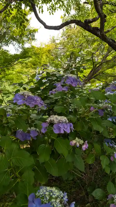 正法寺(京都府)