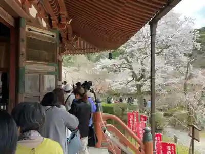 醍醐寺(京都府)