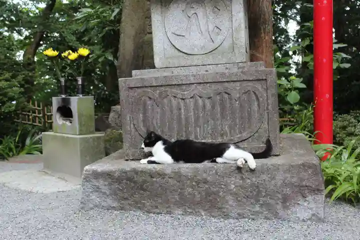 水澤寺(水澤観世音)の動物