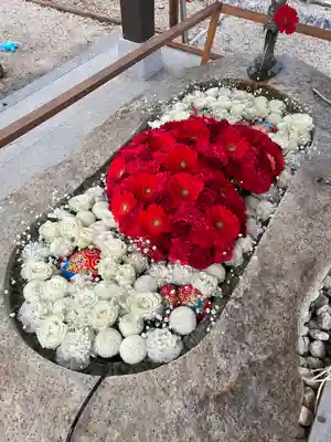 金井神社の手水舎