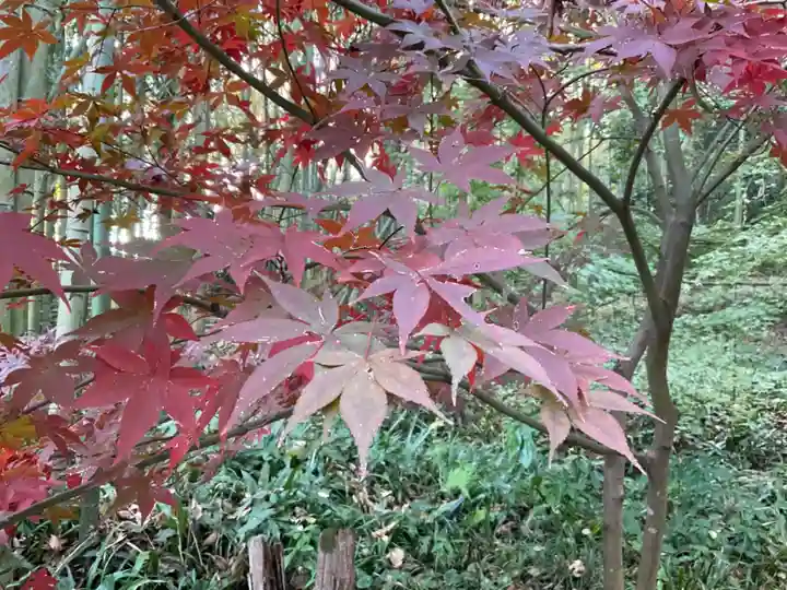 教林坊(滋賀県)