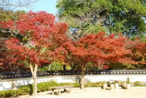 妙徳寺(山口県)
