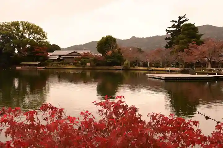 大覚寺(京都府)