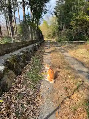 神祇大社(静岡県)
