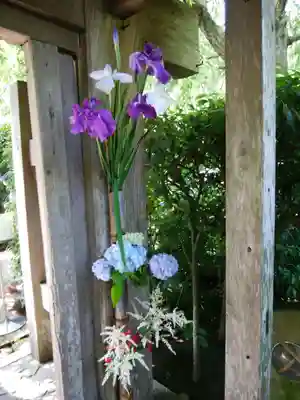 明月院(神奈川県)