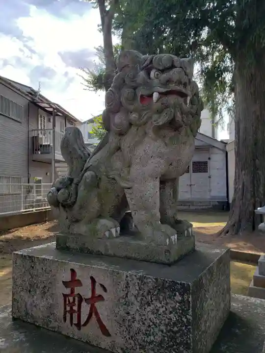 中野天祖神社の狛犬