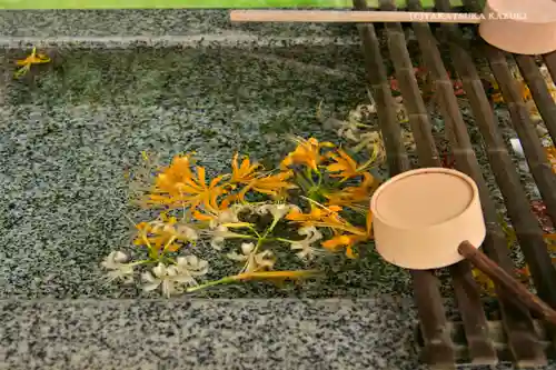 横浜　西方寺の手水舎