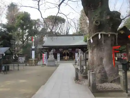 新田神社の本殿・本堂